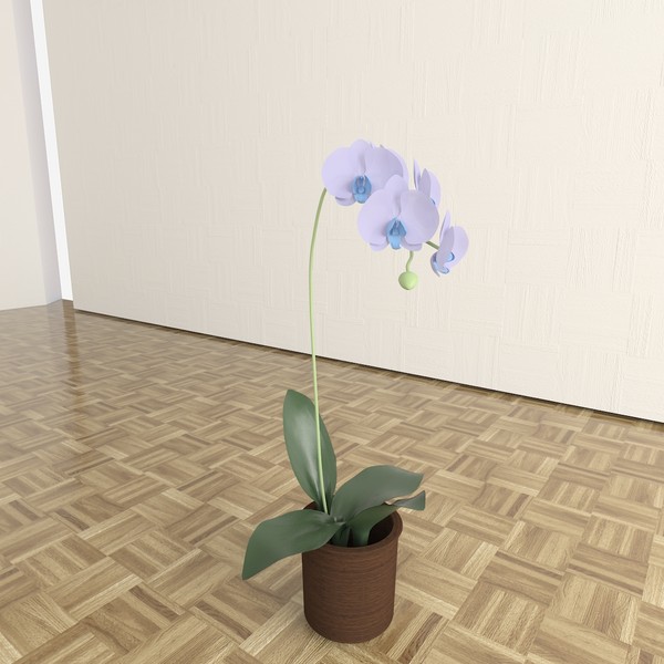 orchid 3d max - Orchid by TheToastMaster