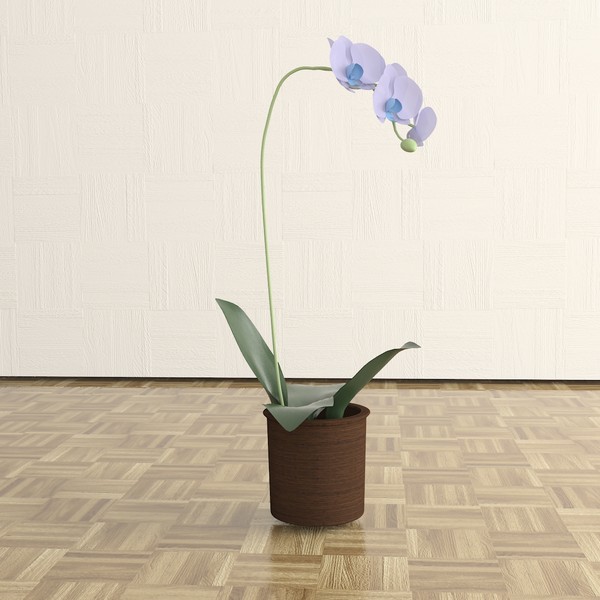 orchid 3d max - Orchid by TheToastMaster