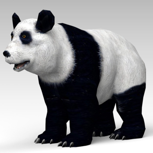 hand panda 3d model - Panda by 3d_Wanderer