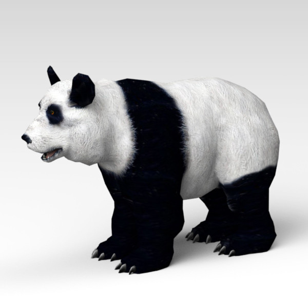 hand panda 3d model - Panda by 3d_Wanderer
