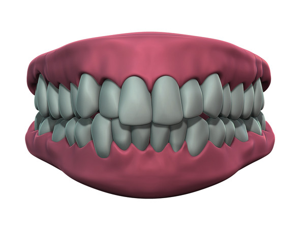 gums tongue obj - Teeth and Gums by VikingDigital
