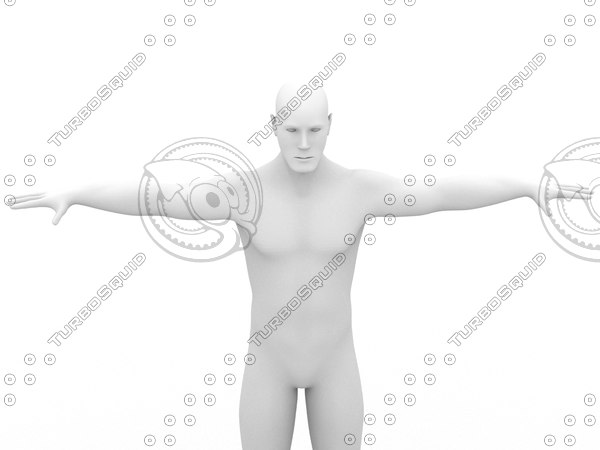 body 3d model - Male 3d Model... by boogie66