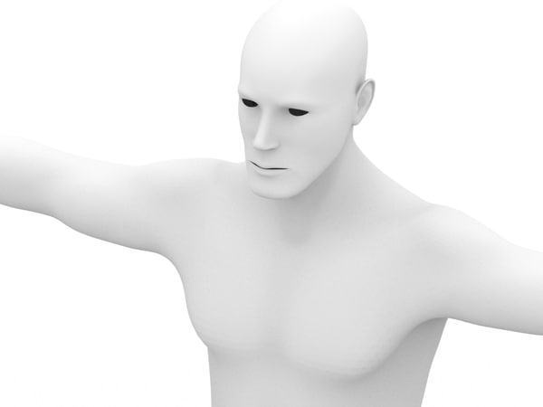 body 3d model - Male 3d Model... by boogie66