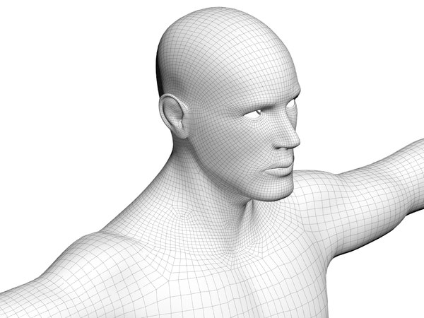 body 3d model - Male 3d Model... by boogie66