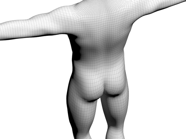 body 3d model - Male 3d Model... by boogie66