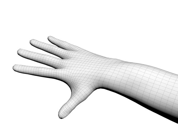 body 3d model - Male 3d Model... by boogie66