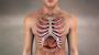 Male cardio with skeleton