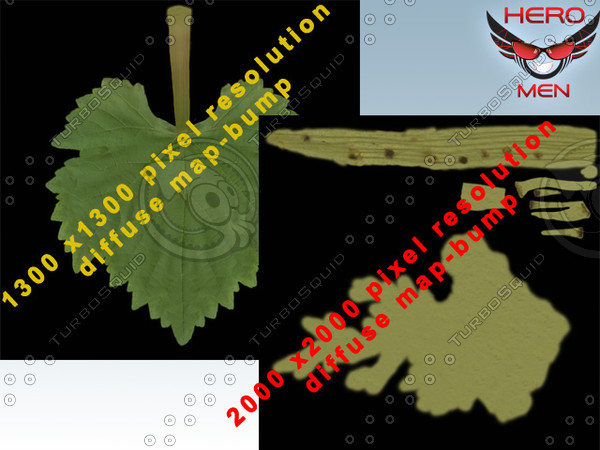 3d model grape vine - Grape Vine by heromen30