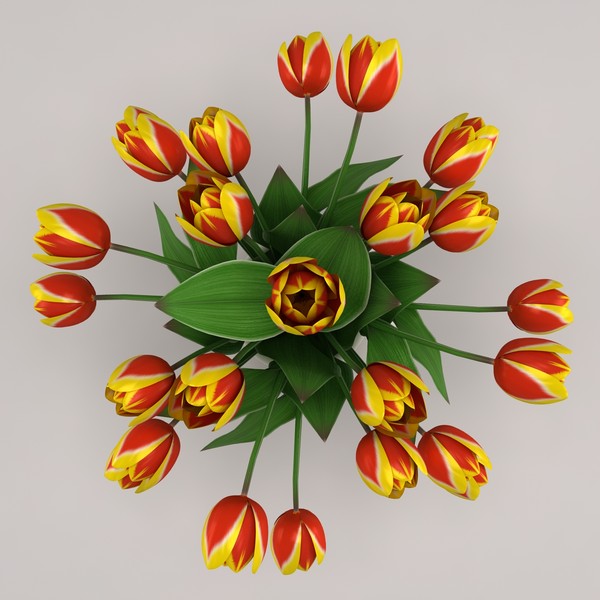 3d model tulips vase - Tulips In Vase by spymaster1083