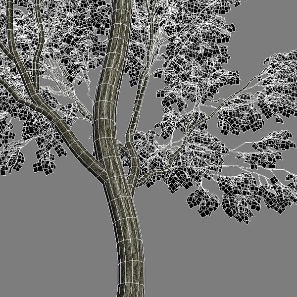 3d tree realistic leafs model - High Quality Tree by jimd