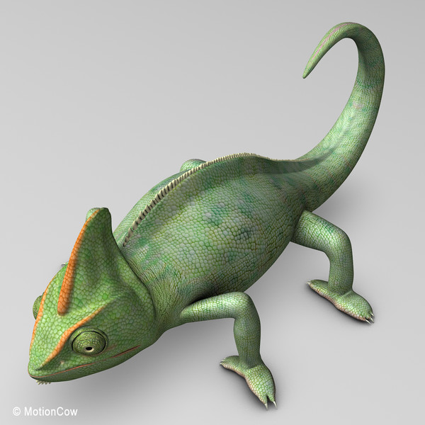 3d chameleon tongue model - Chameleon ( Green )... by MotionCow