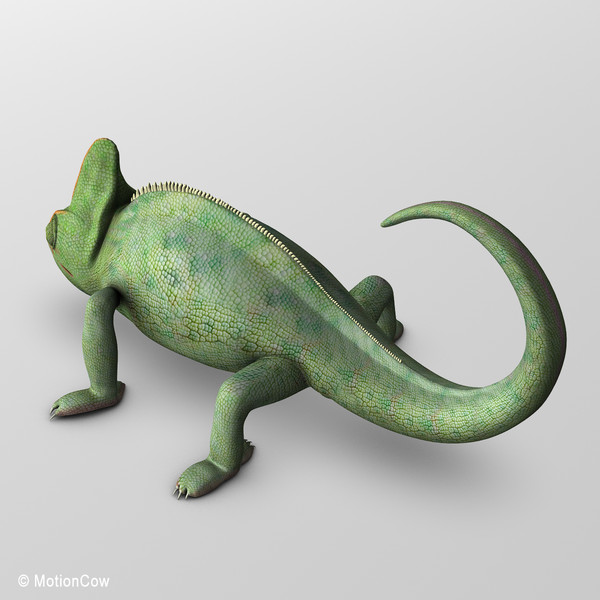 3d chameleon tongue model - Chameleon ( Green )... by MotionCow