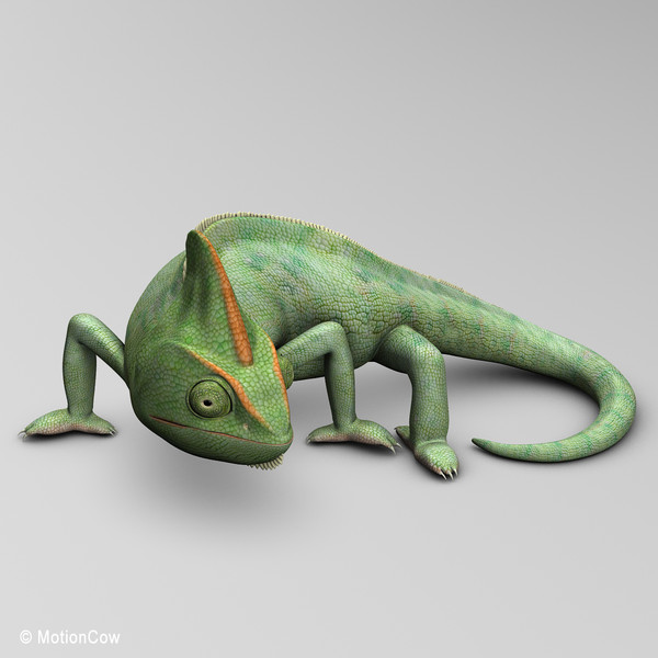 3d chameleon tongue model - Chameleon ( Green )... by MotionCow
