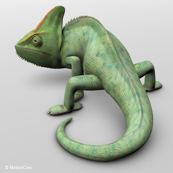 3d chameleon tongue model - Chameleon ( Green )... by MotionCow