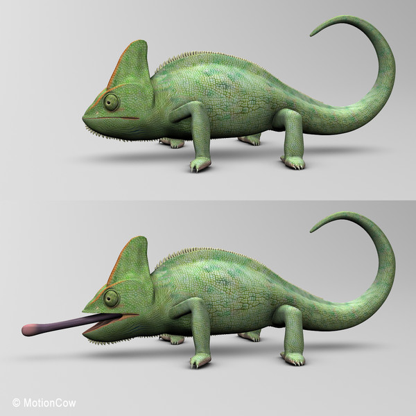 3d chameleon tongue model - Chameleon ( Green )... by MotionCow