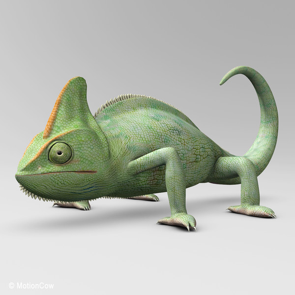 3d chameleon tongue model - Chameleon ( Green )... by MotionCow