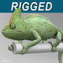 3d chameleon tongue model