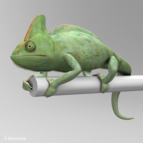 3d chameleon tongue model - Chameleon ( Green )... by MotionCow
