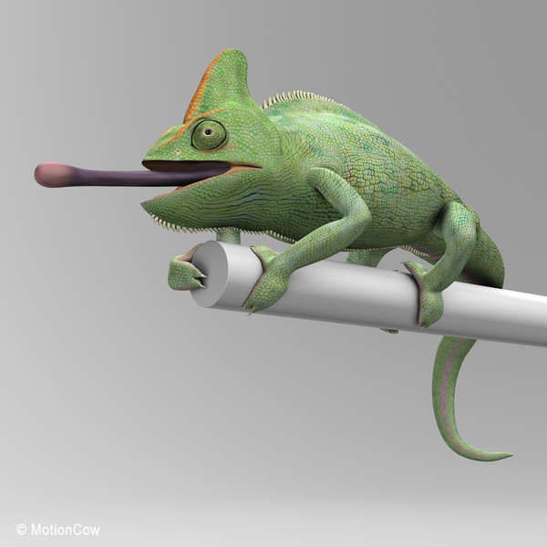 3d chameleon tongue model - Chameleon ( Green )... by MotionCow