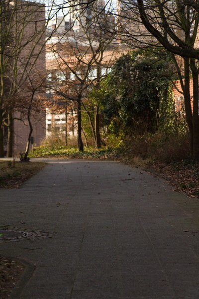 HDR 104 Sidewalk + Plates