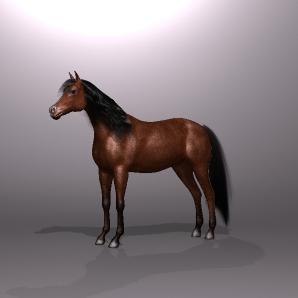 brown horse max - Horse by QLEE