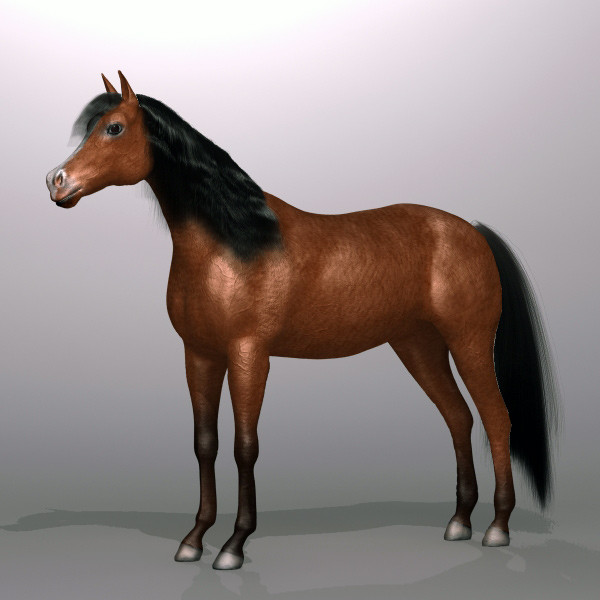 brown horse max - Horse by QLEE