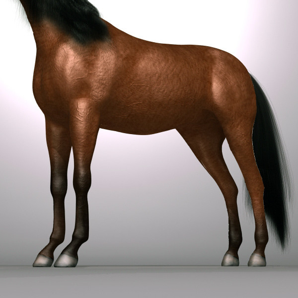 brown horse max - Horse by QLEE