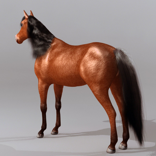 brown horse max - Horse by QLEE