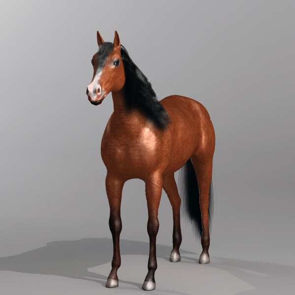brown horse max - Horse by QLEE