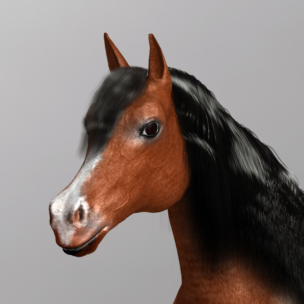 brown horse max - Horse by QLEE