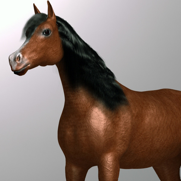 brown horse max - Horse by QLEE