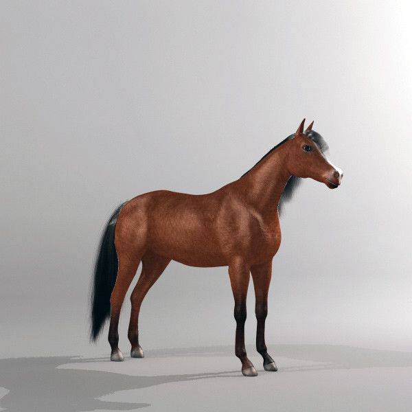 brown horse max - Horse by QLEE