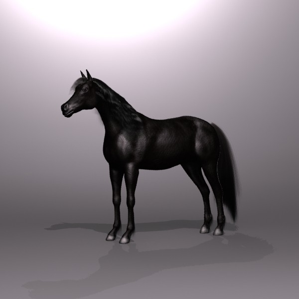 3ds max black horse - Dark Horse by QLEE