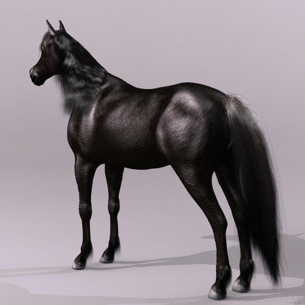 3ds max black horse - Dark Horse by QLEE