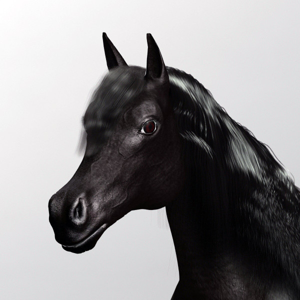 3ds max black horse - Dark Horse by QLEE