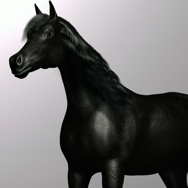 3ds max black horse - Dark Horse by QLEE