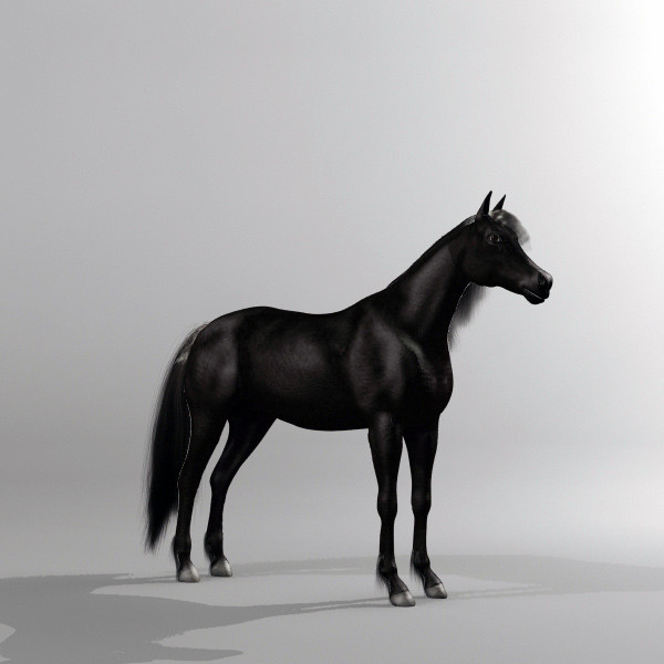 3ds max black horse - Dark Horse by QLEE