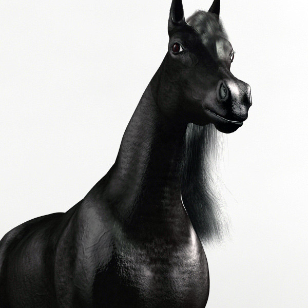 3ds max black horse - Dark Horse by QLEE