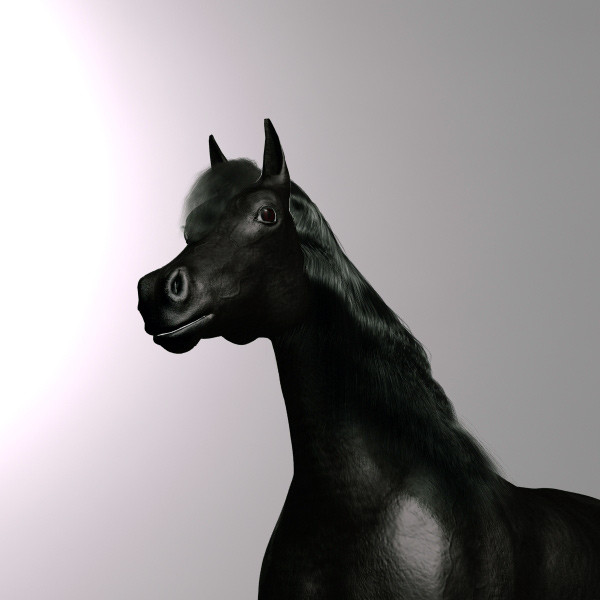 3ds max black horse - Dark Horse by QLEE