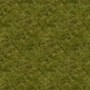 Green Grass