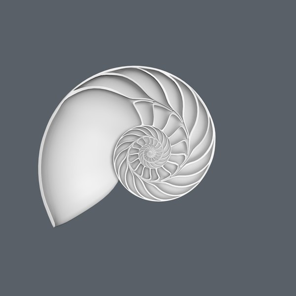 3d nautilus shell cut - Nautilus shell cut... by legendar1