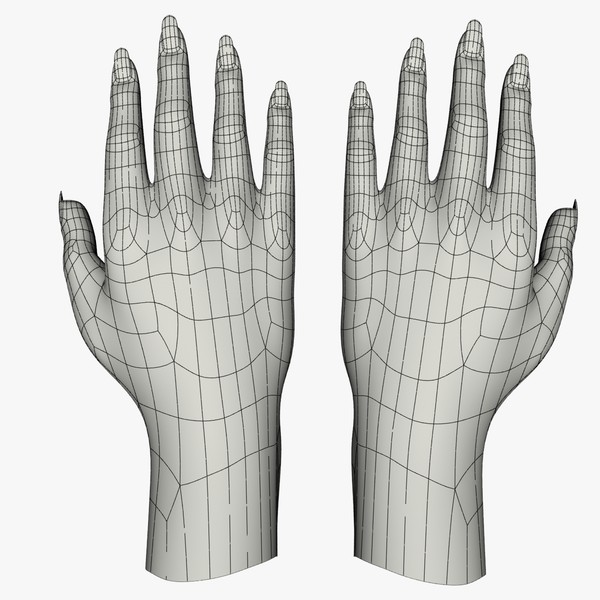 3d female hand - Female Hands by Alpha3DMax