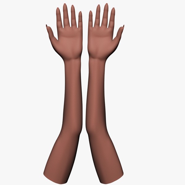 3ds max female hand arm - Female Arms by Alpha3DMax