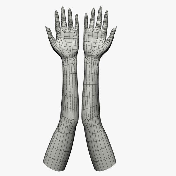 3ds max female hand arm - Female Arms by Alpha3DMax