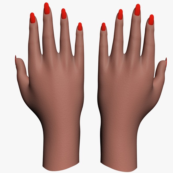 3d female hand - Female Hands by Alpha3DMax