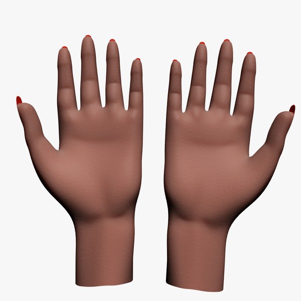3d female hand - Female Hands by Alpha3DMax