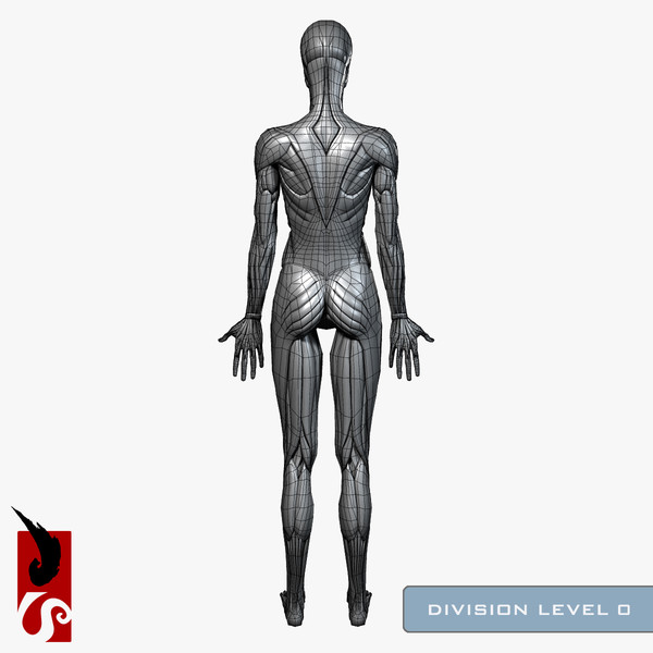 female anatomy - muscular obj - Female Anatomy - Muscular System by IllumeStudio
