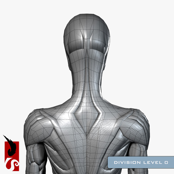 female anatomy - muscular obj - Female Anatomy - Muscular System by IllumeStudio