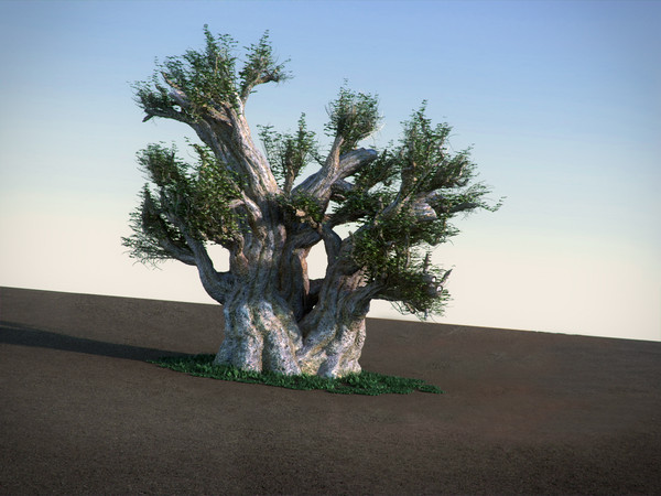 3d african baobab tree model - African Baobab HiPoly tree by RTEwork