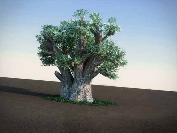 african baobab tree 3ds - African Baobab LowPoly tree by RTEwork